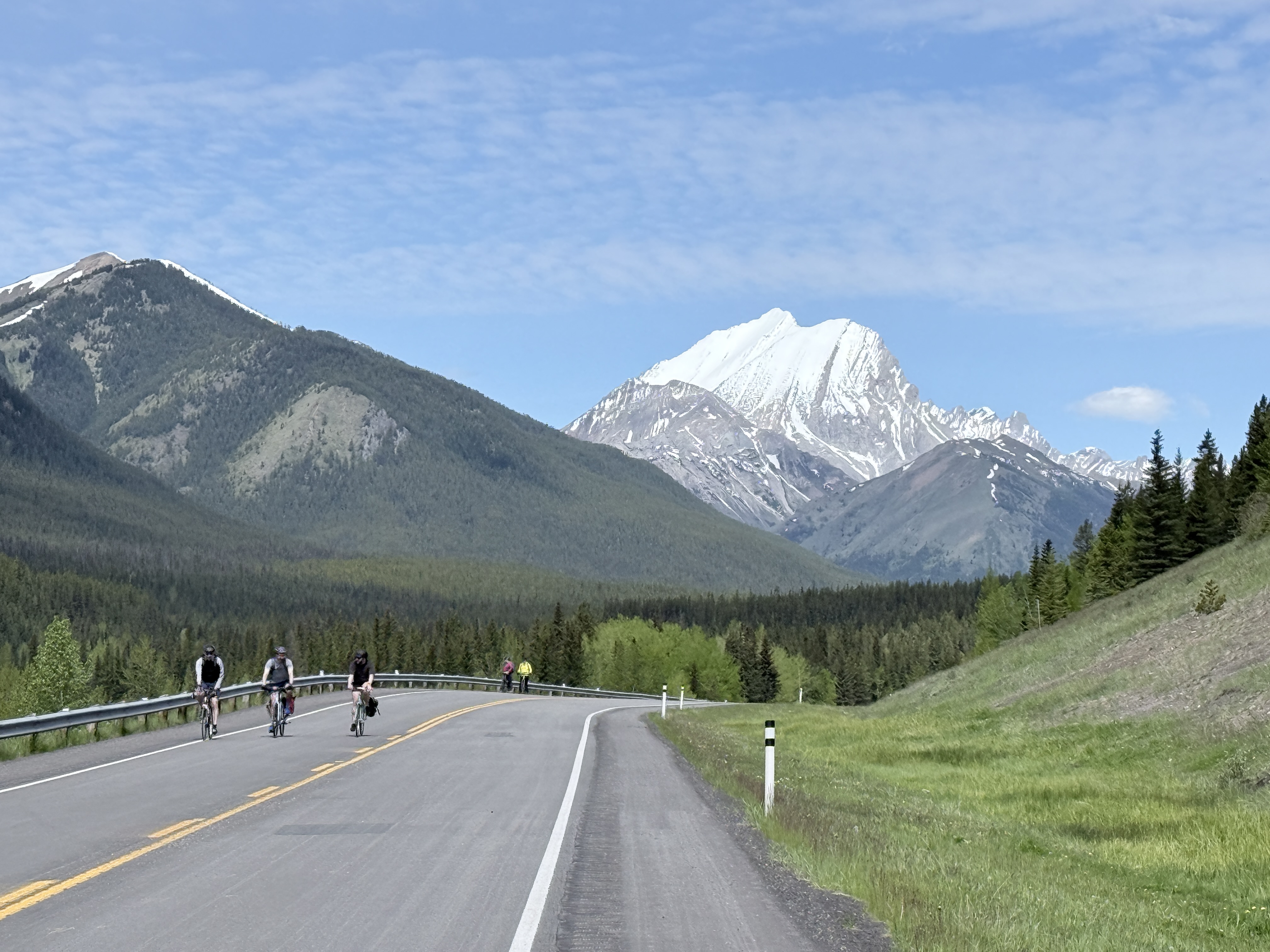 free_20083_1782101988_4.jpg