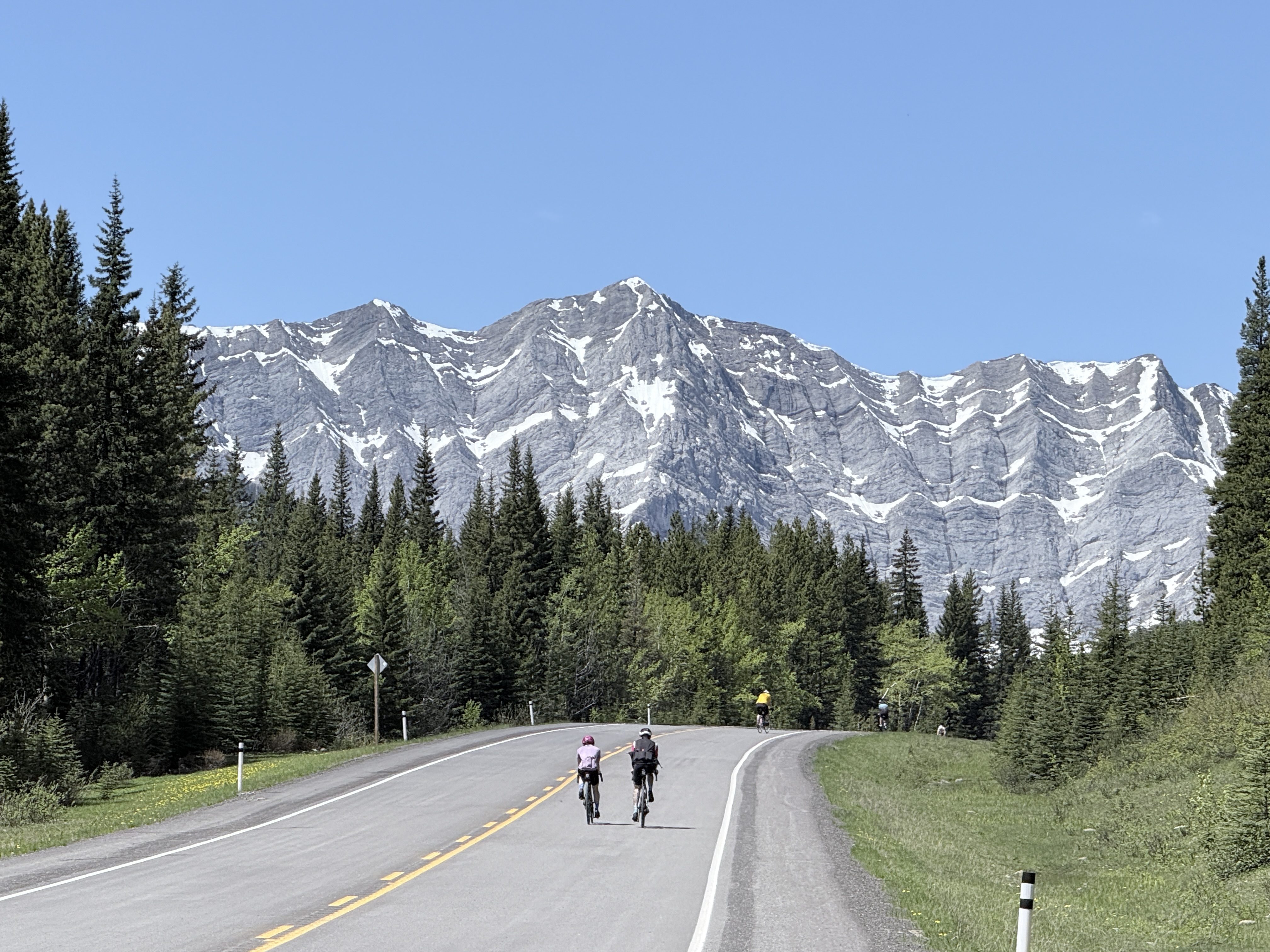 free_20083_1782101988_5.jpg