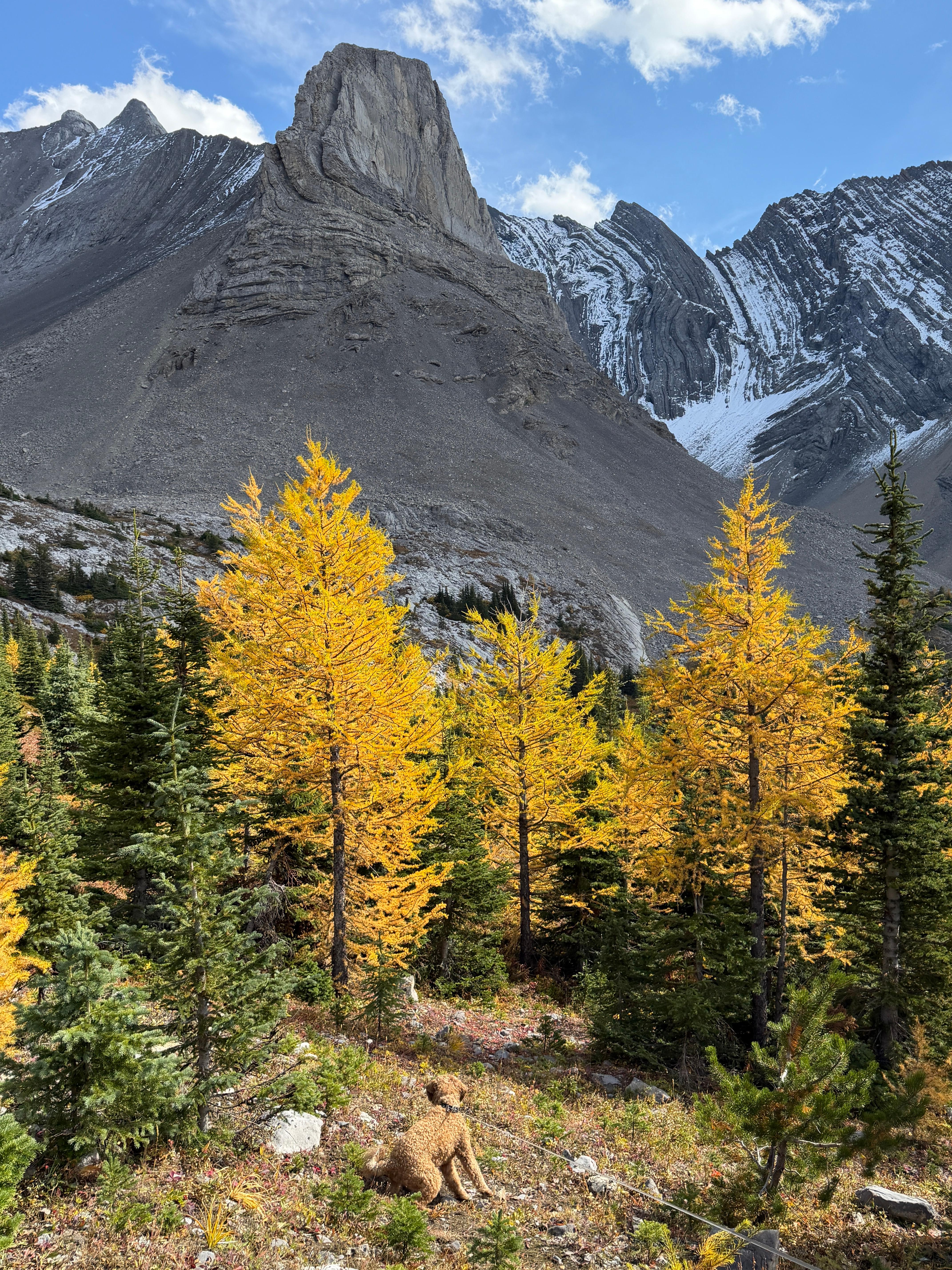 free_20295_30e62f31e8655549.jpg